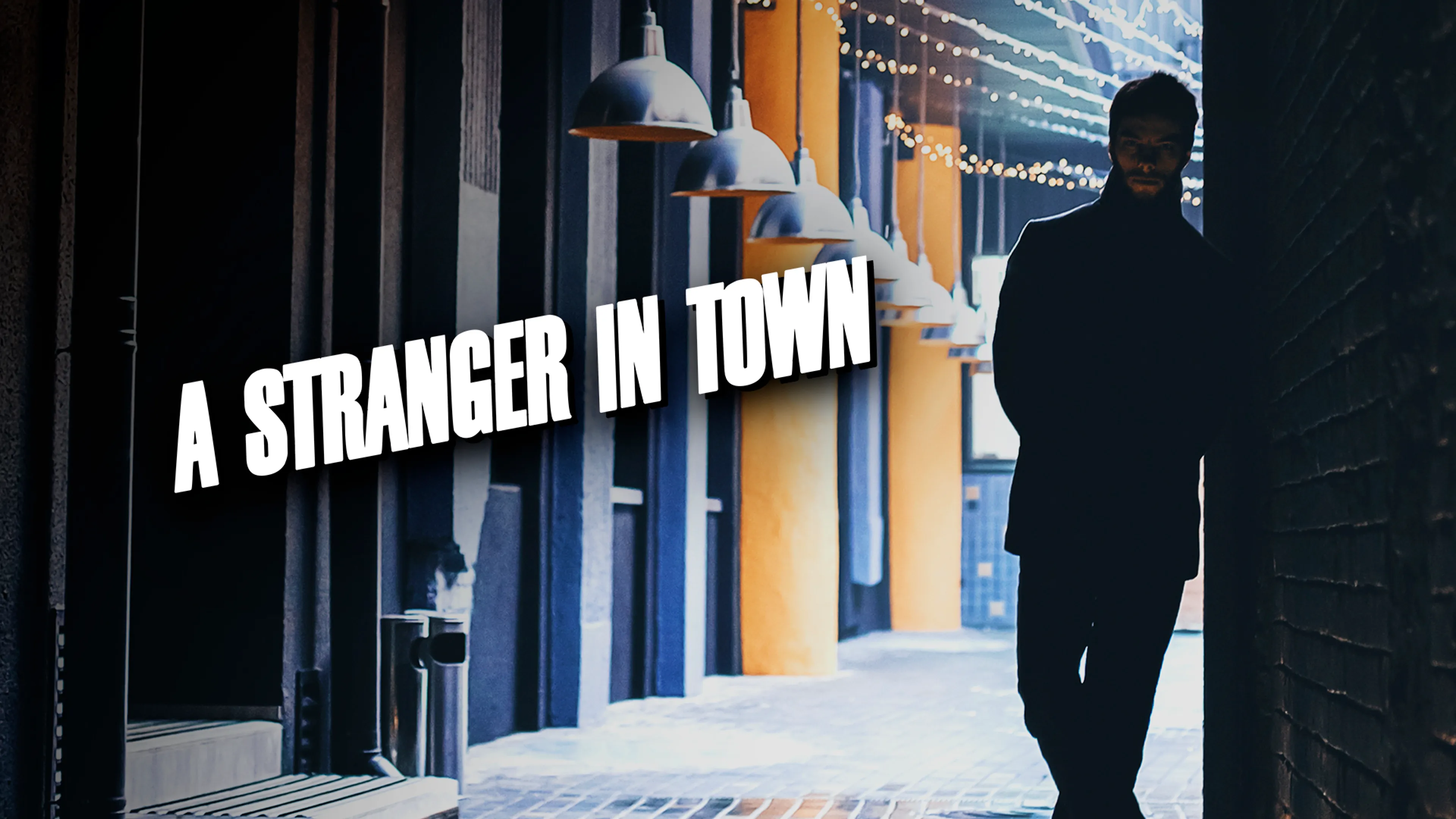 A Stranger in Town poster